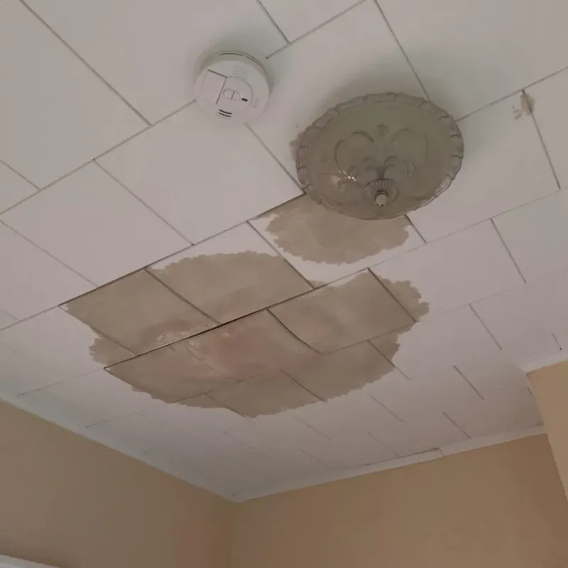 Ceiling Water Damage Repair in Shawnee Land, VA