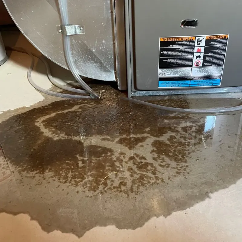 Pipe Burst and Leak Restoration in Shawnee Land, VA