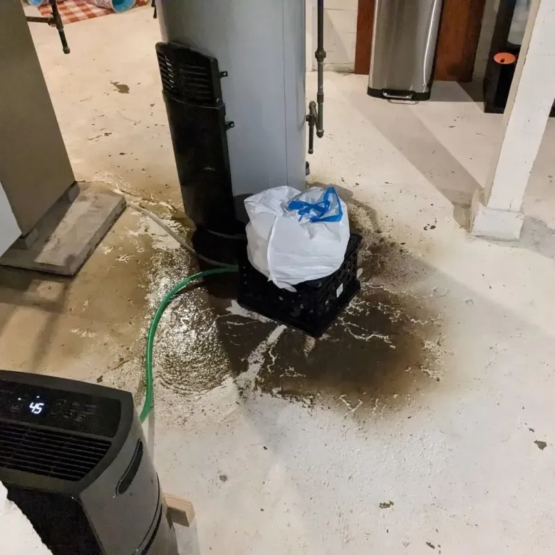 Sewage Backup Cleanup Service in Shawnee Land, VA
